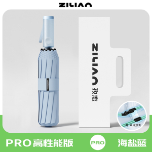 自动伞029