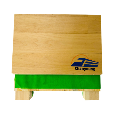 晨洋(Chanyoung)健身房定制单龙骨运动木地板 HYTY-023 平米