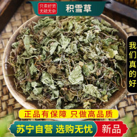 甄选积雪草100克干货新货正品地钱草崩大碗马蹄草雷公根蚶壳草干货