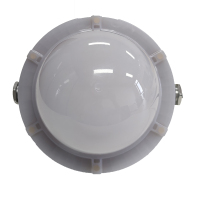 光大特照 EBF605(LQ)-48 48W 220V IP66 LED平台灯 (计价单位:个) 银白色