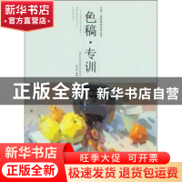 正版 色稿·专训 武兆丹编著 黑龙江美术出版社 9787559307903 书