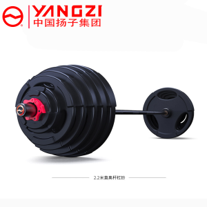 扬子(YANGZI)包胶杠铃片YZ-PA
