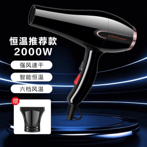 荣事达电吹风家用吹风机恒温护发2000W大功率速干学生宿舍发廊理发店专用大风力吹风筒