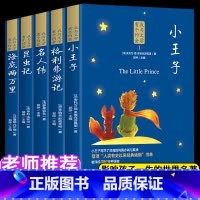 [世界名著]我与文学有个约会(全5册) [正版]5本我与文学有个约会全套小王子 昆虫记格列弗游记名人传海底两万里小学生三