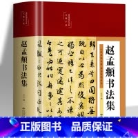[正版]赵孟頫书法集 行楷书彩绘版字帖 书法初学者入门硬笔毛笔手写书法鉴赏国学经典临摹范本 国学经典行楷字帖字体书法技