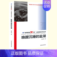 [正版]唤醒沉睡的盐湖 创新报国70年大型报告文学丛书 董立勃 盐湖科技工作者的故事 原创纪实性报告文学人文历史书籍浙江