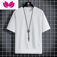 七斓华夫格短袖t恤夏季男士假宽松半袖体恤冰丝薄款圆领潮牌衣服