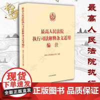 正版 最高人民法院执行司法解释条文适用编注 2019年出版 指导性案例执行办案指引实务 人民法院出版社 978751
