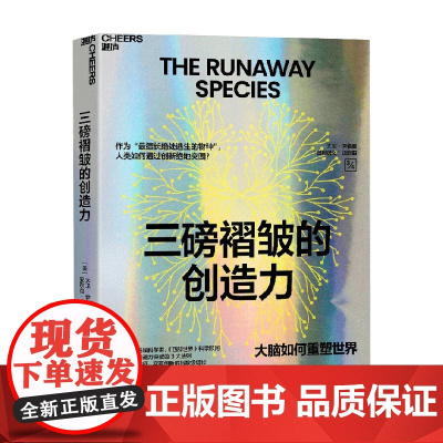 三磅褶皱的创造力 大卫·伊格曼等 著 励志