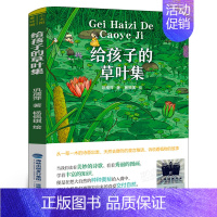给孩子的草叶集 [正版]一只猫和颠倒的世界 二年级百班千人共读书大阅小森活动祖庆说小学生2年级暑期故事书海豚出版社 kq