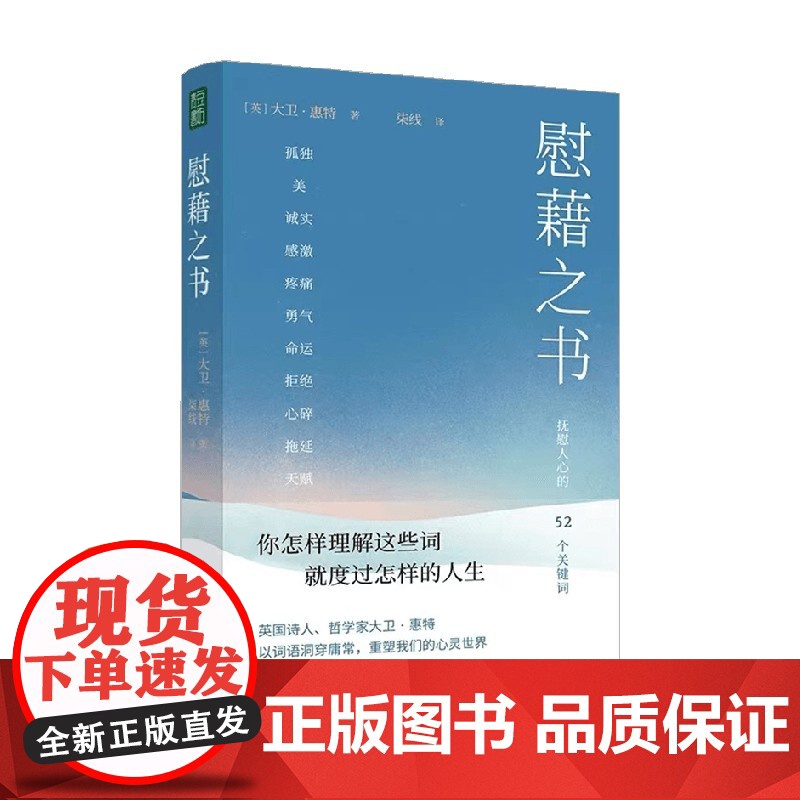 慰藉之书 大卫·惠特 著 励志