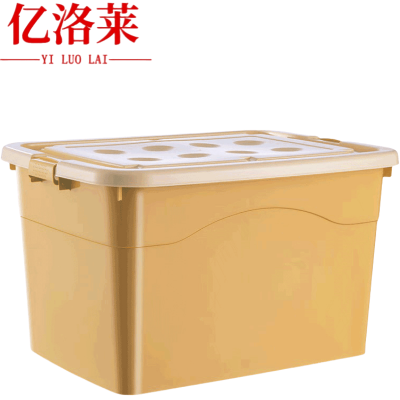亿洛莱 整理箱 63.5*46.5*37.5cm 个