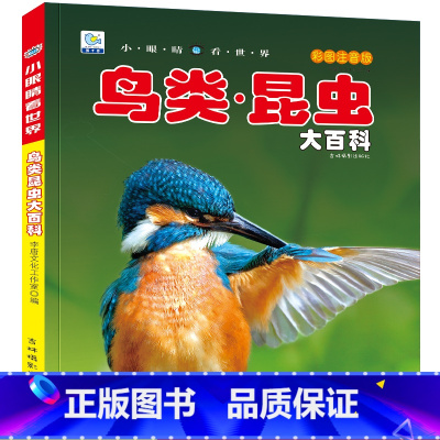鸟类.昆虫大百科 [正版]战车大百科注音版小眼睛看世界兵器武器枪械坦克装甲车导弹小学生一二三年级课外阅读书籍军事百科全书