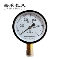 嘉禾长久+压力表检测定制型+Y100+块