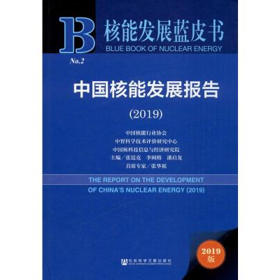 中国核能发展报告2019