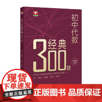 初中代数经典300题