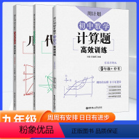全套 九年级/初中三年级 [正版]周计划初中数学几何+代数+计算综合题高效训练 初中初三9九年级上下册数学思维训练应用题