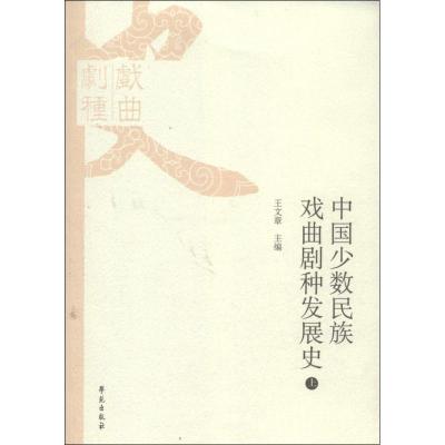 正版新书]中国少数民族戏曲剧种发展史王文章9787507742824