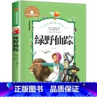 [彩图 注音版]绿野仙踪 [正版]绿野仙踪小学生版注音版一二年级小学三年级课外书必读阅读书籍带拼音的童话故事书班主任老师