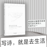 音像紧急中的冥想(美)弗兰克·奥哈拉(Frank O Hara)