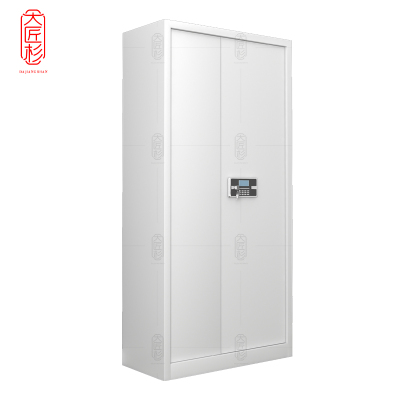 大匠杉 保密柜文件柜通门带抽 DBMG05D