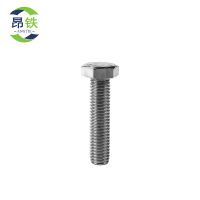 昂铁 不锈钢六角螺栓 M5*20 个