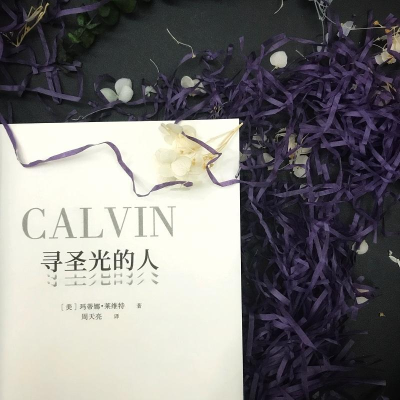 正版新书]寻圣光的人(美)玛蒂娜·莱维特 著 周天亮 译9787513921