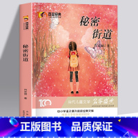 秘密街道 [正版]百年经典儿童文学名家名作系列作品集-秘密街道肖定丽 与鉴赏小学生课外书籍三四五六年级课外书阅读经典书目