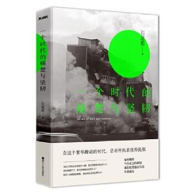 正版新书]一个时代的痛楚与坚韧石述思9787213076688