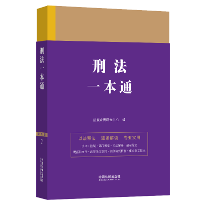 刑法一本通 第9版