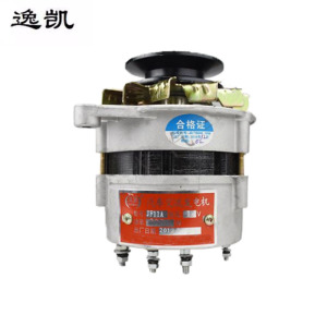 逸凯 发电机 DN25 /个