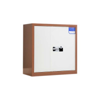 帅畅保密柜财务档案柜文件柜办公室资料储物柜保险柜矮柜咖白-国保指纹锁