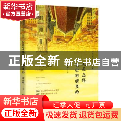 正版 人是怎样长出翅膀来的 张亦辉 中国书籍出版社 978750686669