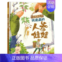 捉迷藏的人参娃娃 [正版]让孩子爱上黑土地捉迷藏的人参娃娃朵朵的爱心大饭包除夕夜的酸菜饺子大豆家族奇遇记不一样的苹果梨