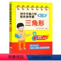 [正版] 初中平面几何培优微专题第二册 三角形 适用于8年级上册 八年级上学期 初中数学专题训练 数学题解 上海社会科