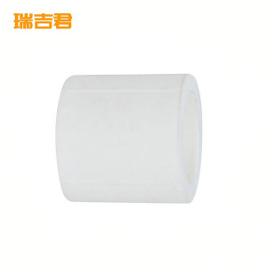 瑞吉君 PPR直接 63mm 个