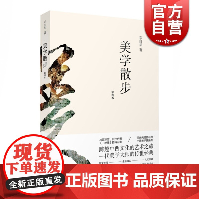 正版 美学散步彩图本 一代美学大师宗白华著作融贯中西艺术理论美学图书籍 美学思想艺术哲学图书籍 上海人民世纪出版