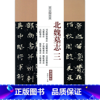 [正版]0减40北魏墓志三司马顯姿墓志元霊曜墓志元崇业墓志元纂墓志于仙姬墓志杨乾墓志元肪墓志张黑女墓志王堰墓志毛笔字帖