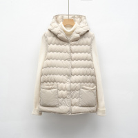 平湖驰新羽绒马甲新国标90绒秋冬新款轻薄连帽背心女简约羽绒内胆