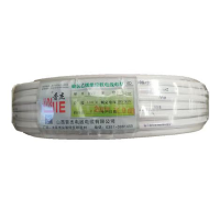 晋杰 铜芯聚氯乙烯绝缘扁形无护套软电线 RVVB 2*4 100米/卷