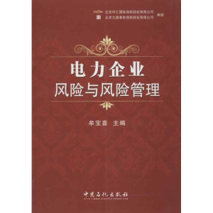 正版新书]电力企业风险与风险管理牟宝喜 编 著9787511417954