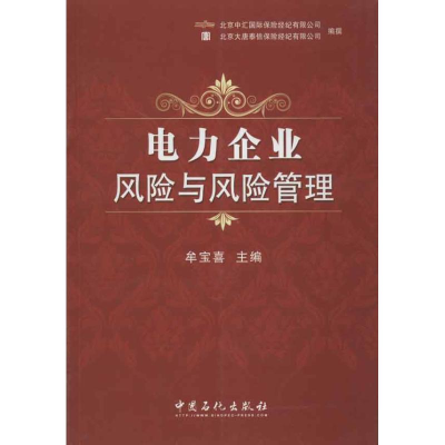 正版新书]电力企业风险与风险管理牟宝喜 编 著9787511417954