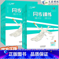 [全套7本]语数英物化政史 九年级下 [正版]2025版一飞冲天课时作业九年级上册下册数学语文英语政治历史化学物理人教版