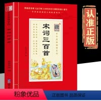 [正版]扫码音频宋词三百首诵读本 插图大字注音版原文带注释无障碍阅读宋词300首学生版少儿国学经典书籍诗课外阅读书籍