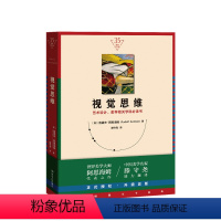 [正版]书籍视觉思维 艺术设计、美学相关