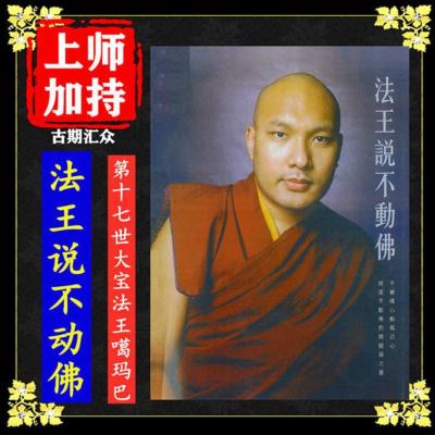 《法王说不动佛》第十七世大宝法王噶玛巴 高清16开大字体