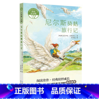 6年级下《尼尔斯骑鹅旅行记》 [正版]阅美寒假标准书目之尼尔斯骑鹅旅行记六年级下册课外阅读长江少年儿童出版社快乐读书吧整