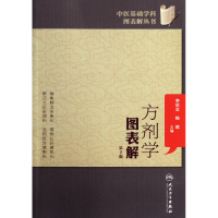 音像方剂学图表解(第2版)/中医基础学科图表解丛书李庆业//杨斌