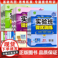 江苏专版 2025春实验班提优训练七八九年级上册下册语文数学英语人教苏教译林版 初一二三年级教材同步随堂作业本习题练习册