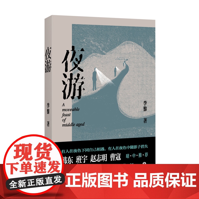 夜游 李黎 四川文艺出版社 正版书籍